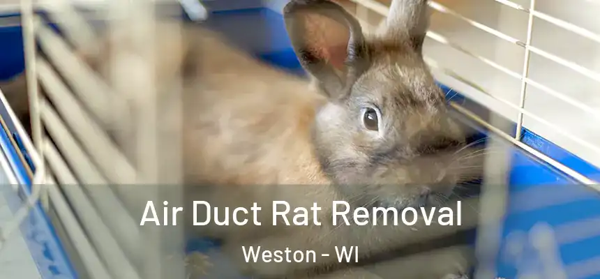  Air Duct Rat Removal Weston - WI