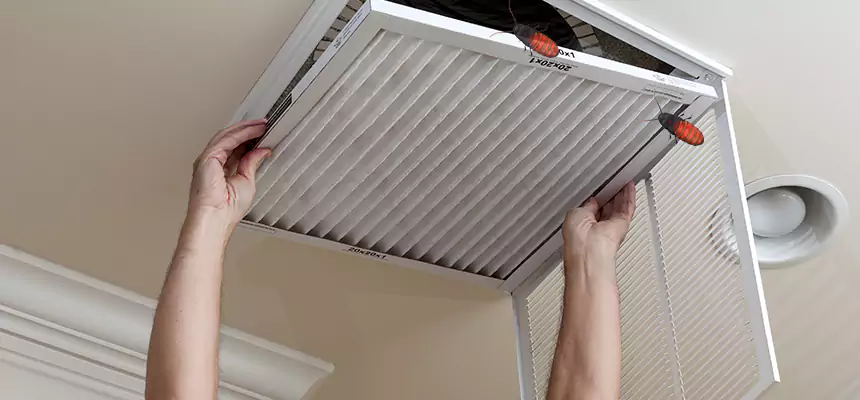 Our Insect Removal from Air Ducts Services in Weston, WI