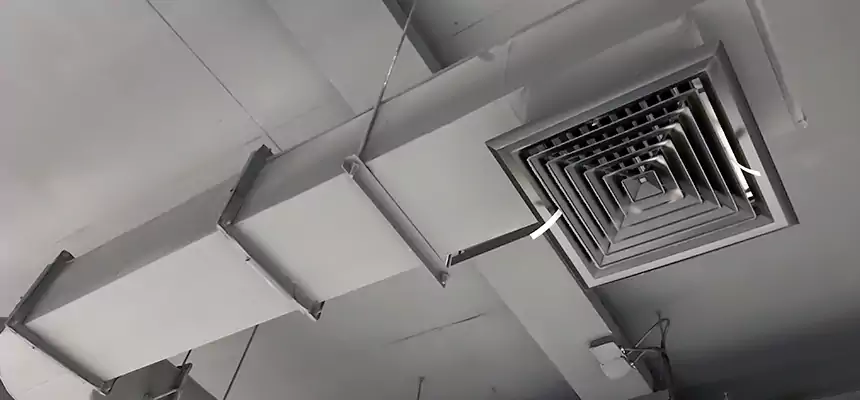 Our Pest Removal From Ducts Services in Weston, WI