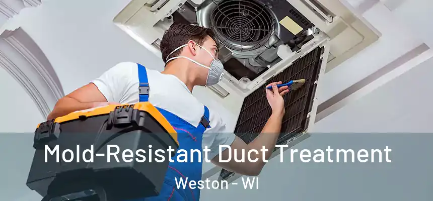  Mold-Resistant Duct Treatment Weston - WI