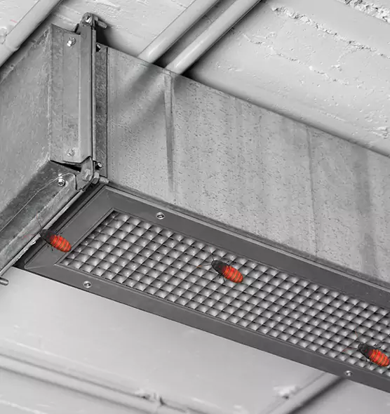 Affordable Insect Removal from Air Ducts in Weston, WI