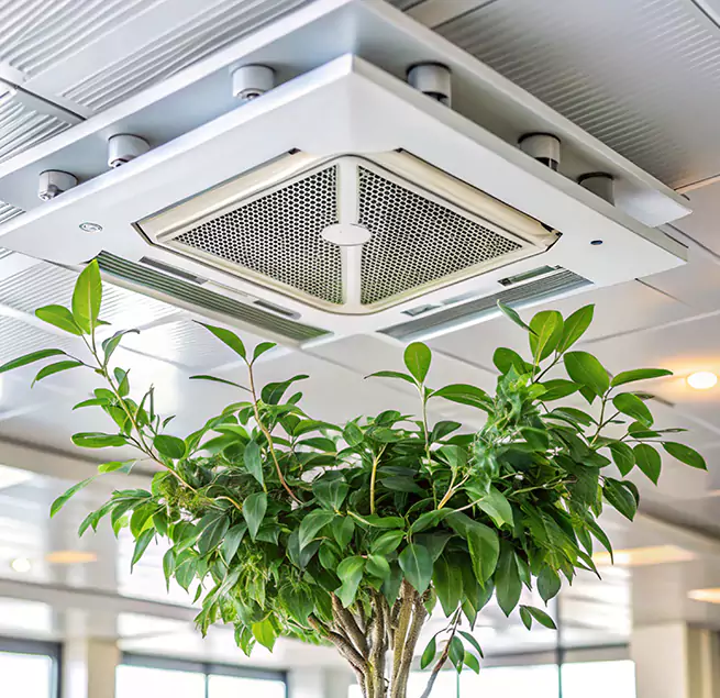 Why Homeowners & Businesses Trust Us in Weston, WI?