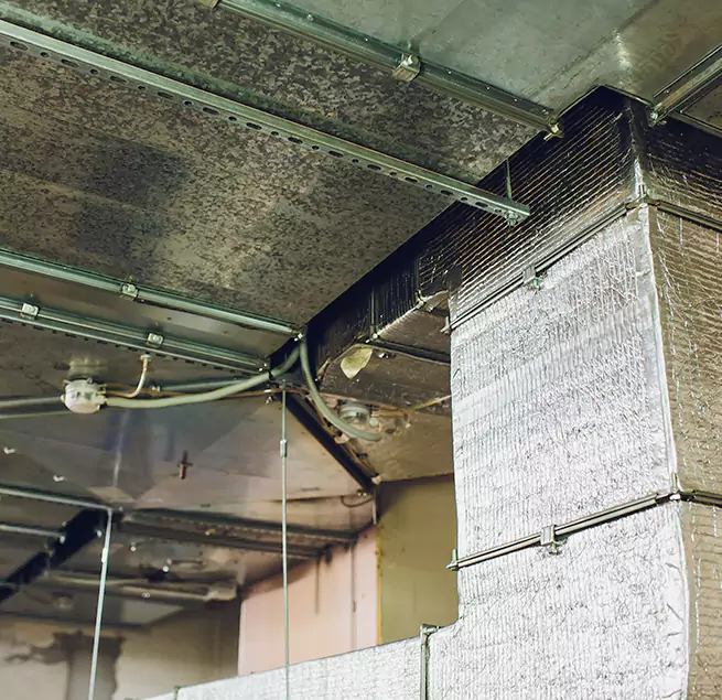 Why Homeowners & Businesses Trust Us in Weston, WI?